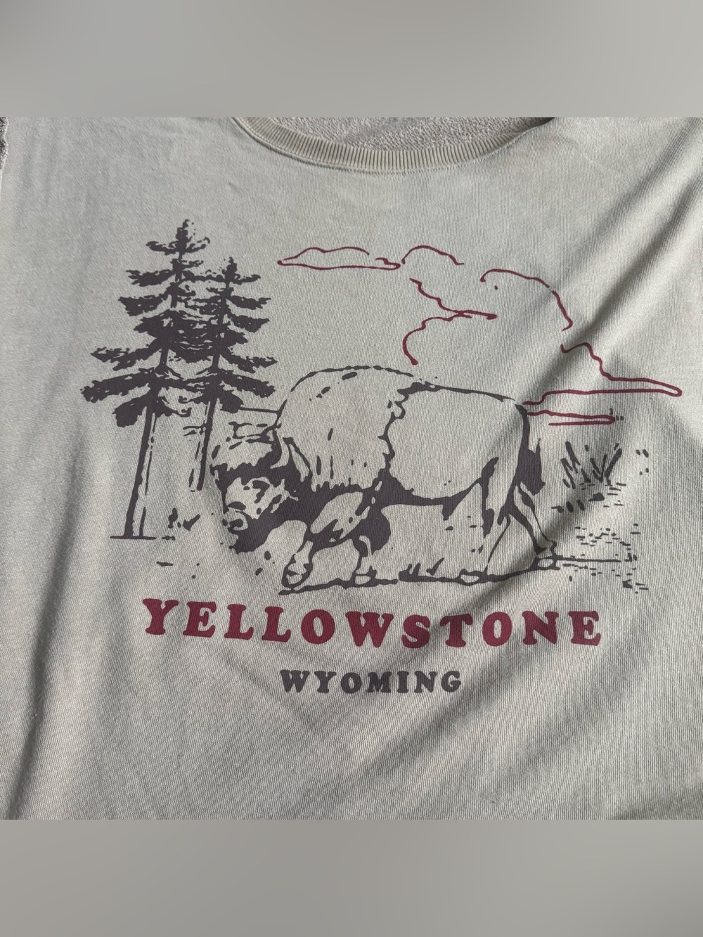 Free People We The Free Yellowstone Bison Camden Sweatshirt Beige Graphic - Picture 7 of 13